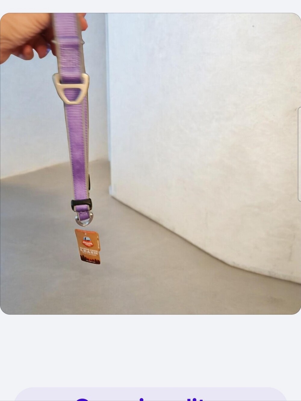 Arcadia Purple Hands Free Leash ■ Nwt